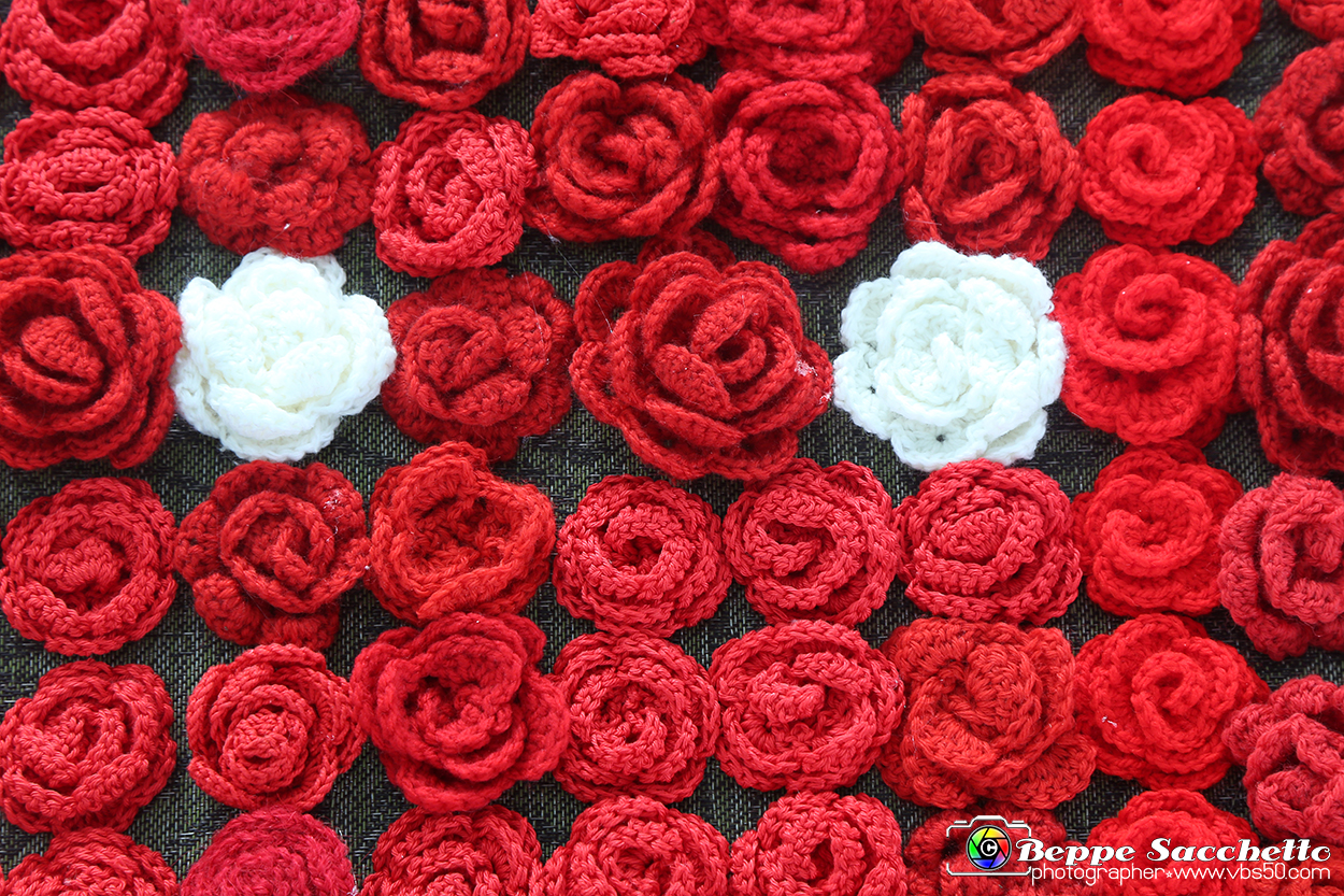 VBS_9645 - Infiorata di Villanova d'Asti 2023.jpg